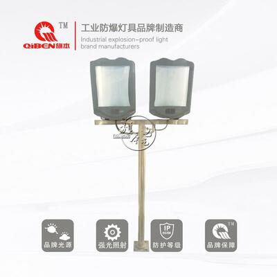 NSC9700 GT302户外投光灯具220V1*400W 2*250W单杆单灯1.2米不锈