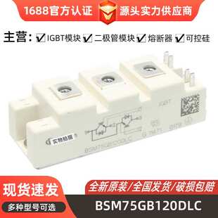 BSM75GB120DLC BSM75GB120DN2 BSM100GB120DLCK BSM100GB120DN2K