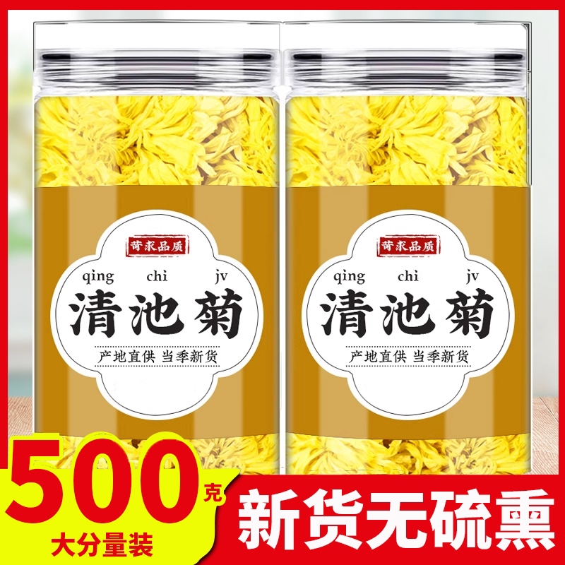 清池菊花茶中药材官方正品清池清驰菊花黄菊花泡茶泡水喝加白冰糖