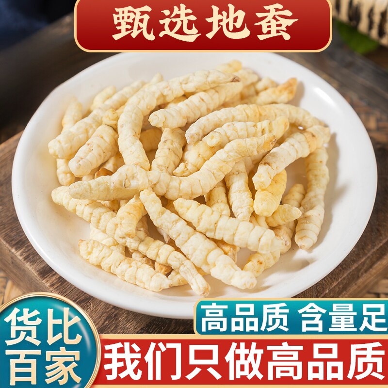 正品地蚕草中药材500克地蚕土冬虫草白虫草泽兰根地参云南虫草参