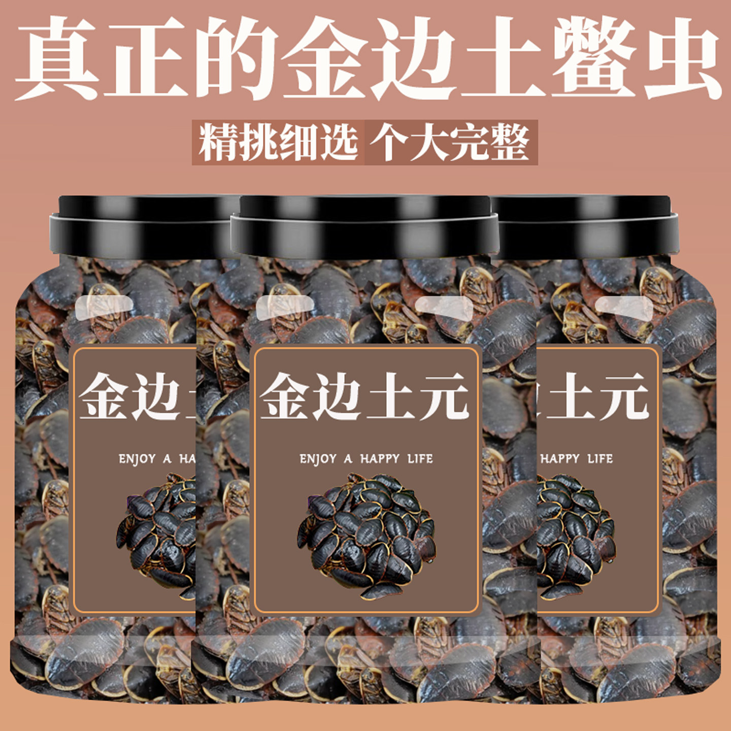 金边土元中药材500g土元干土元虫土鳖虫土鳖子地鳖虫土鳖虫粉