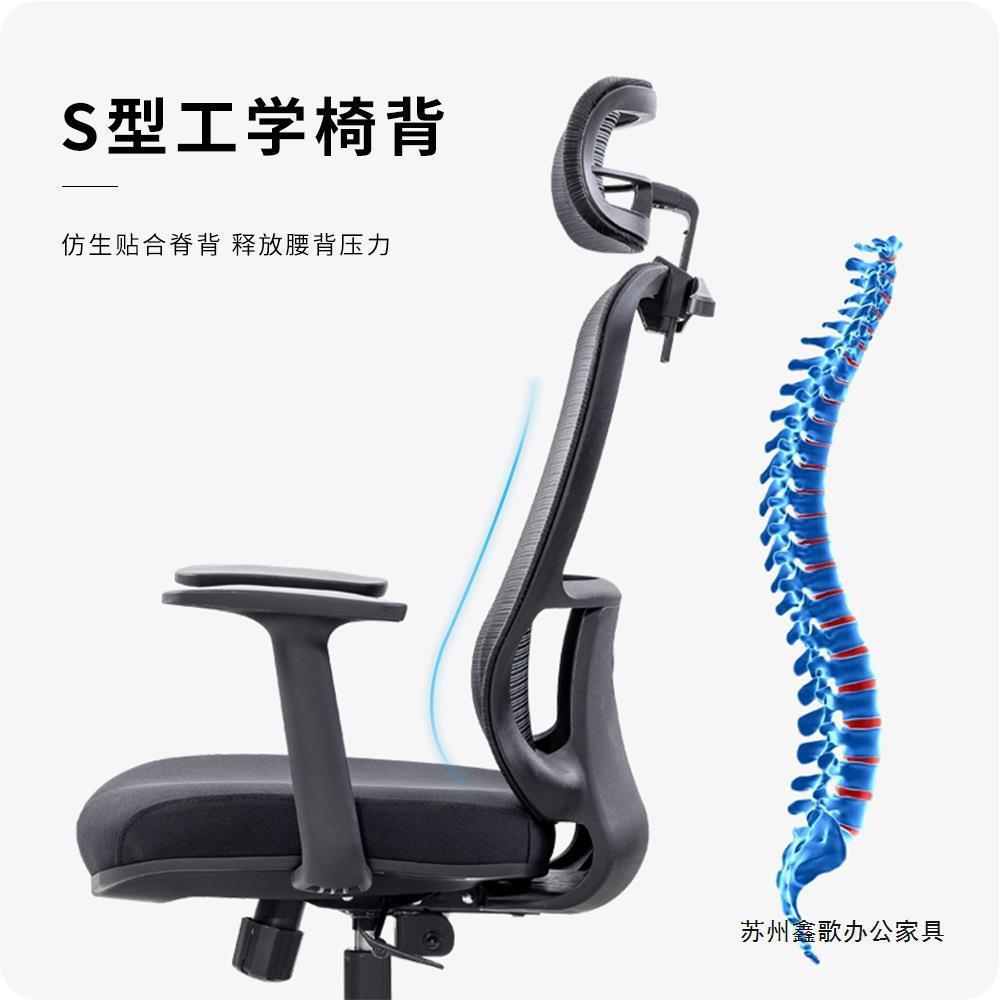 办公室电脑椅 升降旋转弧形坐垫久坐靠背带头枕人体工学椅子