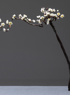长枝红色腊梅干花傲骨仿真梅花家居客厅玄关装饰假花摄影婚庆道具