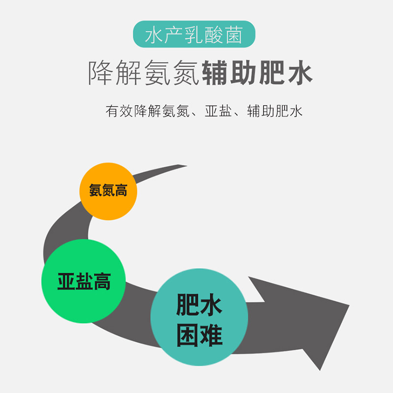 乳酸菌水产养殖浓用益种虾蟹鱼塘菌生菌专缩粉降PH氨氮乳酸菌原粉