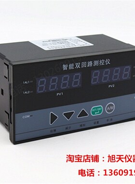 WSAT-D823智能双回路测控仪2路压力液位温度数显示报警控制仪表
