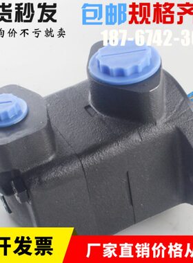 原装进口DENISON丹尼逊SDV10-1P5P-1C注塑机叶片泵SDV10-1P6P-1B