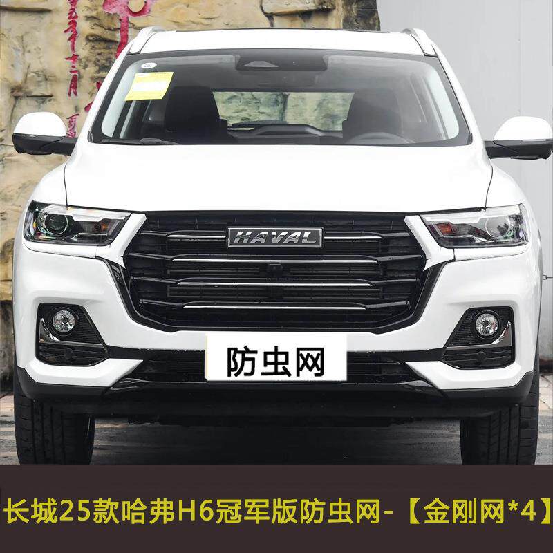 长城哈弗H6/H6S汽车中网防虫网水箱保护网罩防柳絮棉絮网挡杨棉网