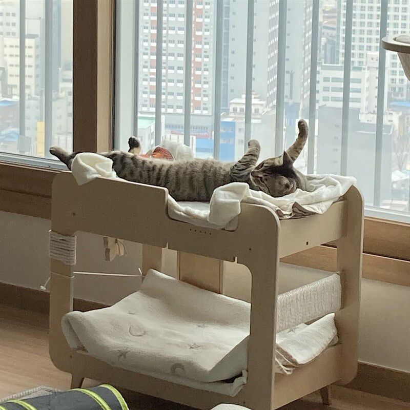 猫咪划胎计二实木猫窝猫床大号s层上下铺多猫家庭in双风猫抓板窝