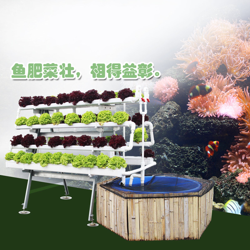 幸运买家户外阳台园艺蔬菜无土栽培设备鱼菜共生水培种植架鱼美人