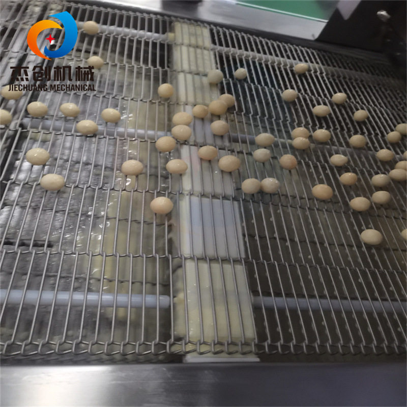 甘源夏威夷果淋巧克力机器 全自动淋酱机 坚果巧克力涂层机