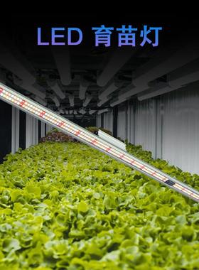 植物生长150W太阳模拟灯育苗盒温室繁殖植物补光灯led灯条全光谱
