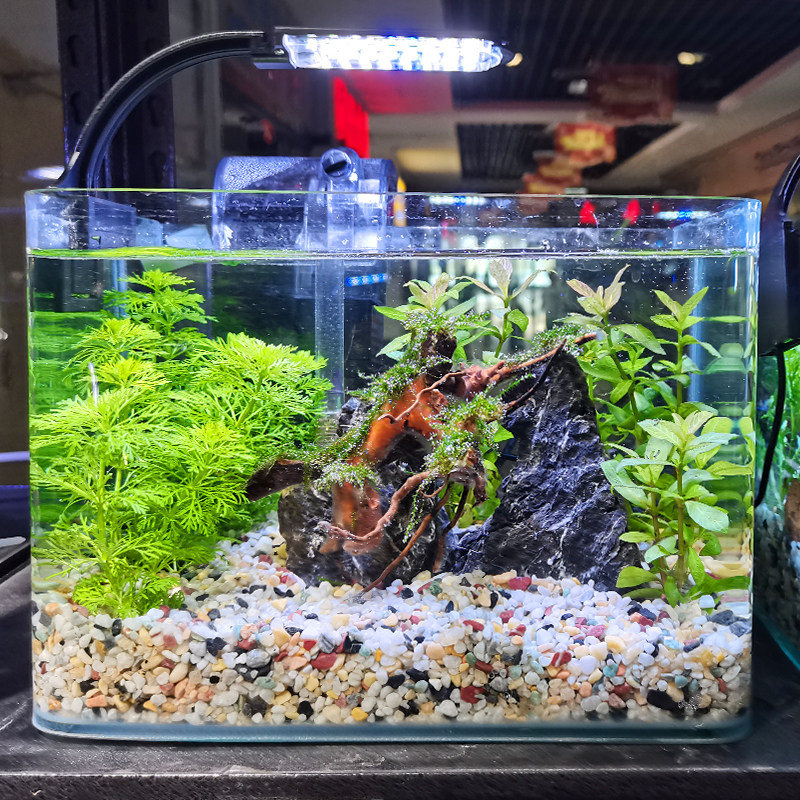 鱼缸底砂造态沙石头子铺底装饰全套摆件生景石然雨花天腰果夜光石