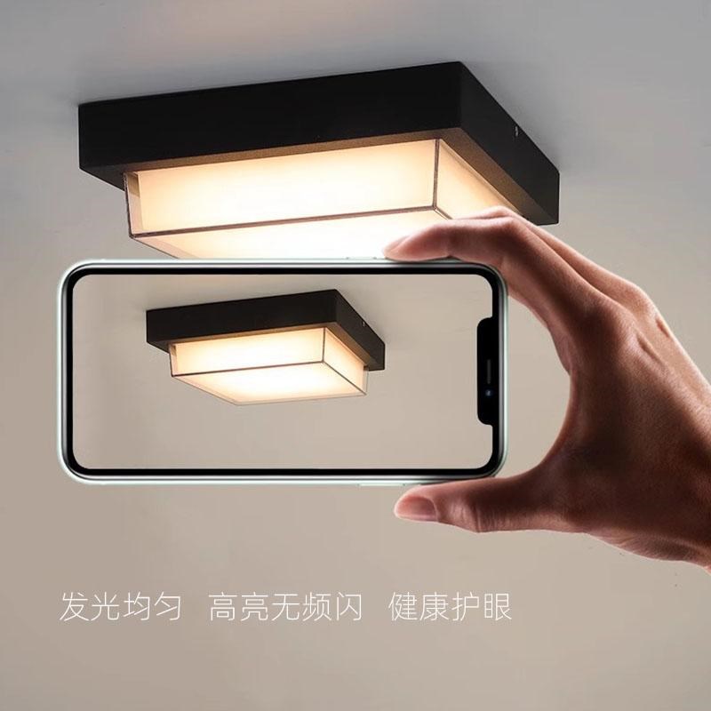 室外灯雨防吸虫led蚊顶防入户玄关走廊过道阳台别墅庭院屋檐灯