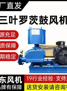 三叶罗茨风机22kW罗茨鼓风机高压污水处理风机变频反冲洗罗次风机