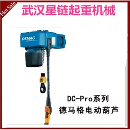 DEMAG德马格葫芦DC-COM流水线用欧式钢丝绳125KG 2 8双速电动葫芦