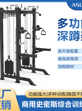 REP深蹲架小飞鸟龙门架双边配重80公斤75方管双边飞鸟健身器材