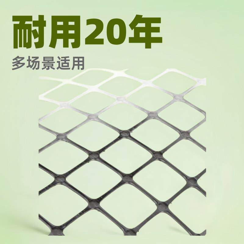 塑料围栏网养殖菜园栅栏户外家用农村拦鸡鸭鹅玉米胶网鱼塘防护网