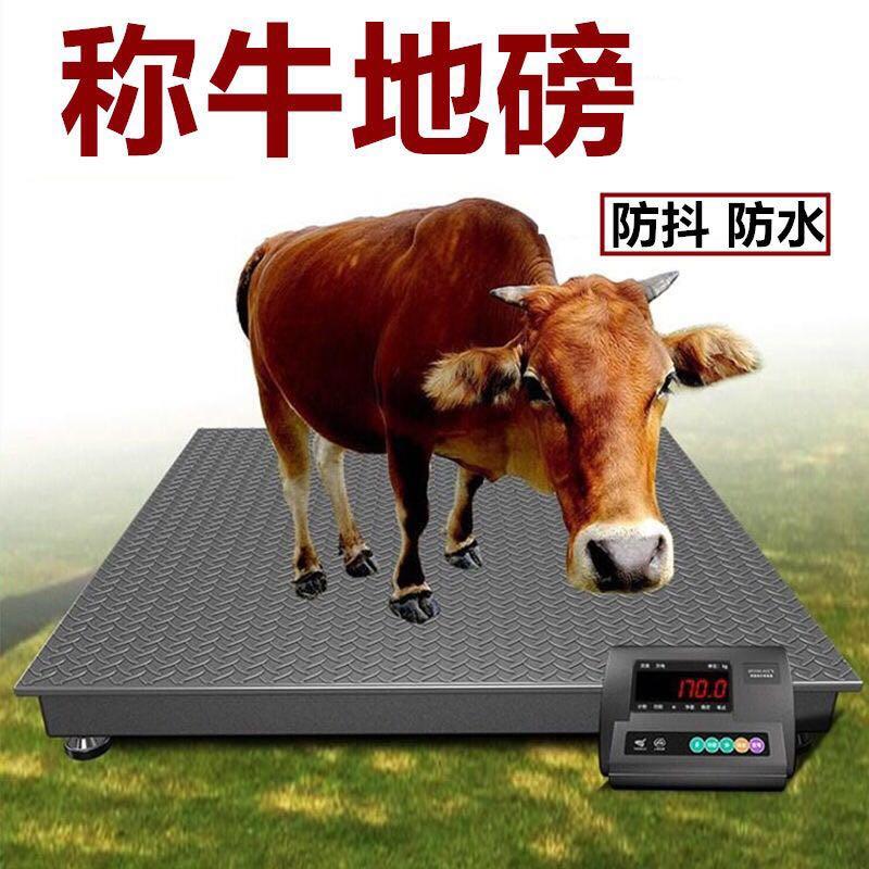称牛地磅秤1-3吨高精度地秤商用畜牧地磅电子磅称猪