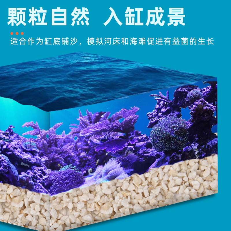 AB沙海缸造景珊瑚沙海沙巴厘沙子天然鱼缸底砂海砂