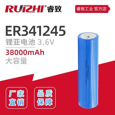 睿致/Ruizhi锂亚电池容量型ER341245DD3.6V38000mAh厂家直销