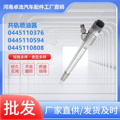 喷油器0445110376 5258744 总成喷油嘴DLLA145P2168