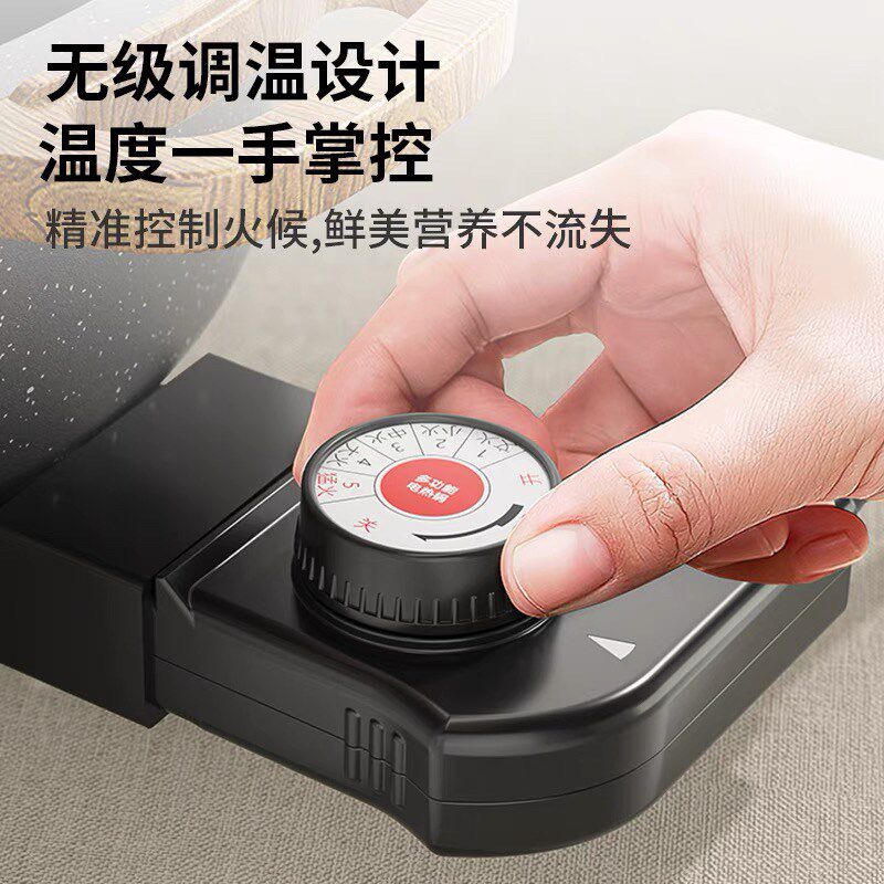 适用爱锅达AH-F15J801电火锅多源线电功能一体式电热仕调温插头 - 实物图