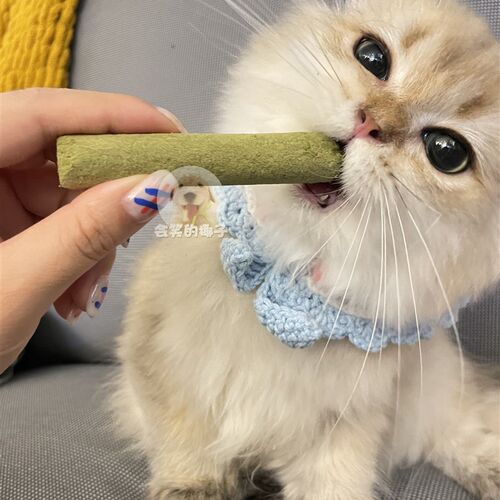 冻干猫草棒猫草肉饼羊奶棒鱼油棒大包250克500克