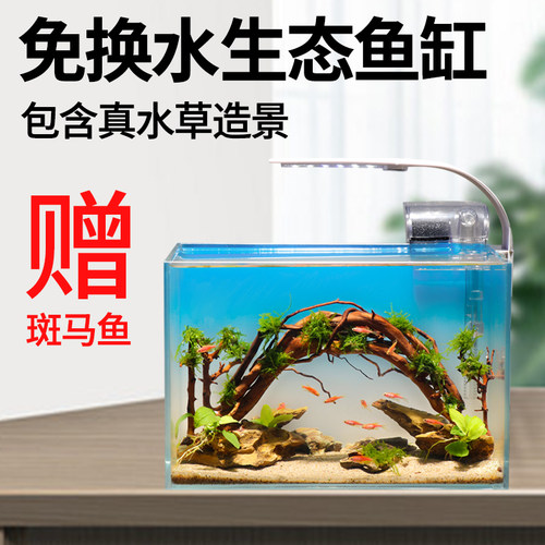 鱼缸水族箱客厅小型迷你桌面免换水生态造景家用小金鱼缸超白玻璃