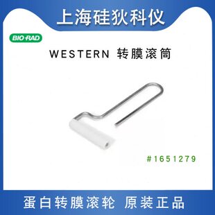伯乐WB转膜气泡滚筒转印电泳去汽泡滚轮滚轴工具Roller #1651279