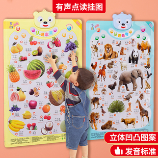 婴幼儿音教有声挂图宝宝看学识物认字儿童启蒙图说话动物发早挂画