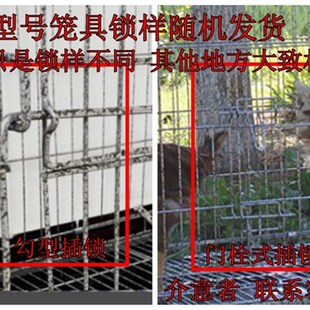 鸡子笼家用大号特大自家养鸡笼笼动清粪大型加密养殖笼鸭自铁丝网