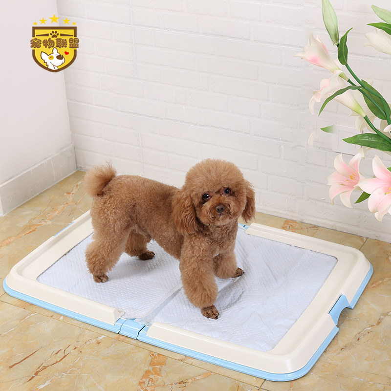 狗丽思丝宠物泰迪爱厕所可中小型犬训练拉尿便盆平板防踩屎大冲水