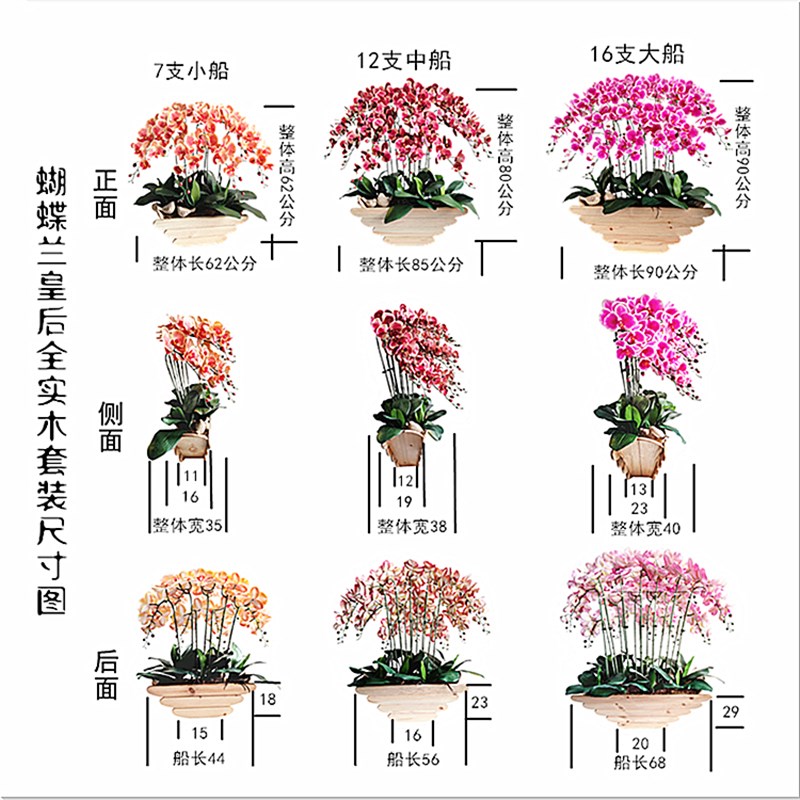 和家手感蝴店兰绢真花仿花假花绿植干花装饰摆件酒蝶高端光触媒花