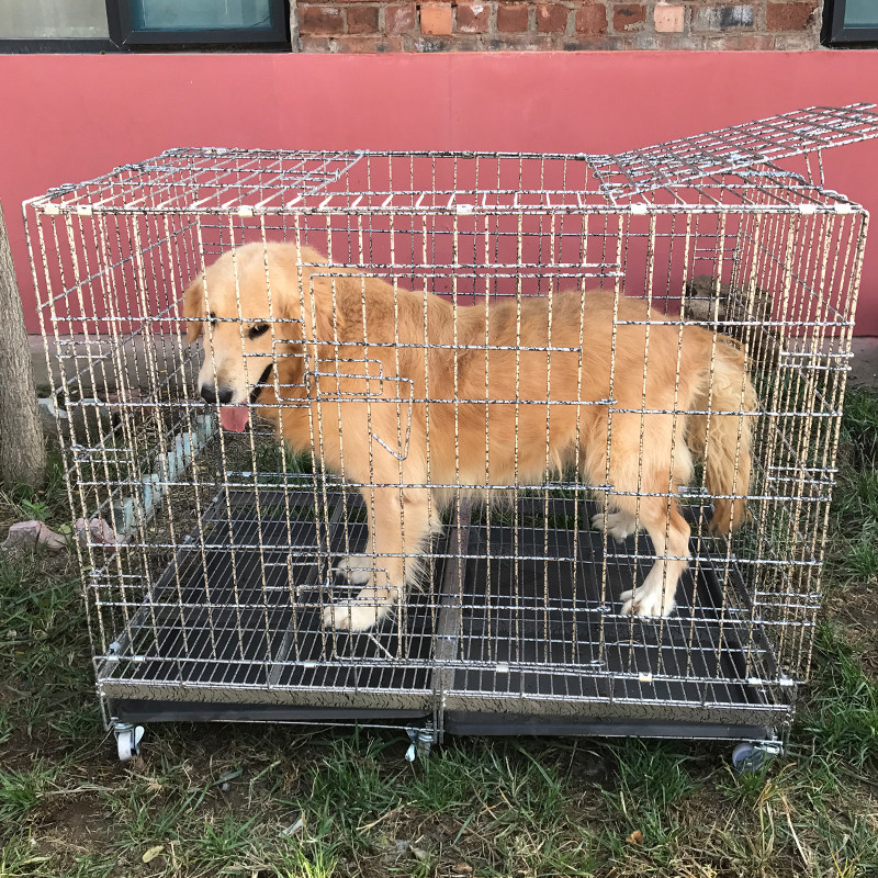 加粗折叠式s小型中l大型犬狗笼子泰迪金毛萨摩哈士奇家庭宠物笼子