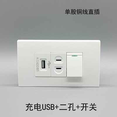 120型二孔10A源电插座USB充电一电双控开关墙壁插座开关充开面板