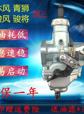 国用建设J8125-28-6B-6A-6F-V6-7C-SA沐风青狮骏风骏将适三化油器