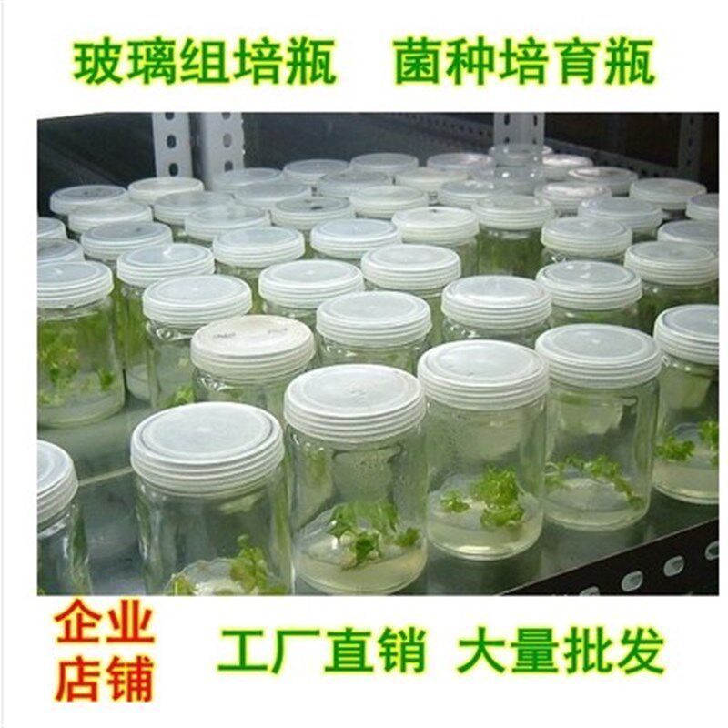 瓶邮玻璃瓶3培0ml组培瓶240ml组培瓶菌瓶育苗包组织5养瓶透气
