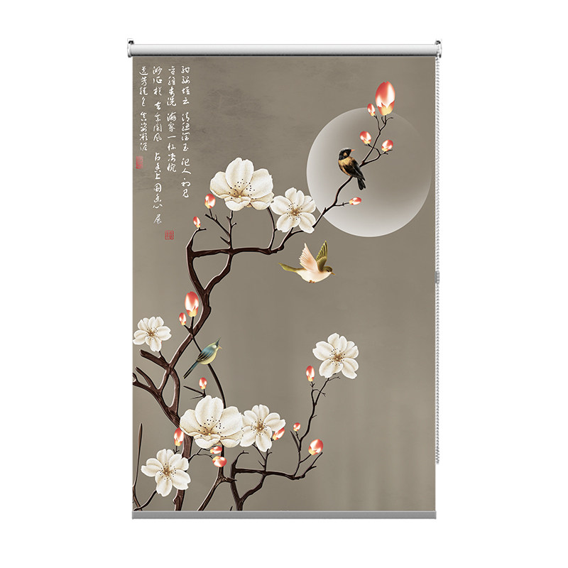 新纱式挂帘软屏风隔关帘玄断帘客厅升降手拉透明帘柔中帘卷帘花鸟