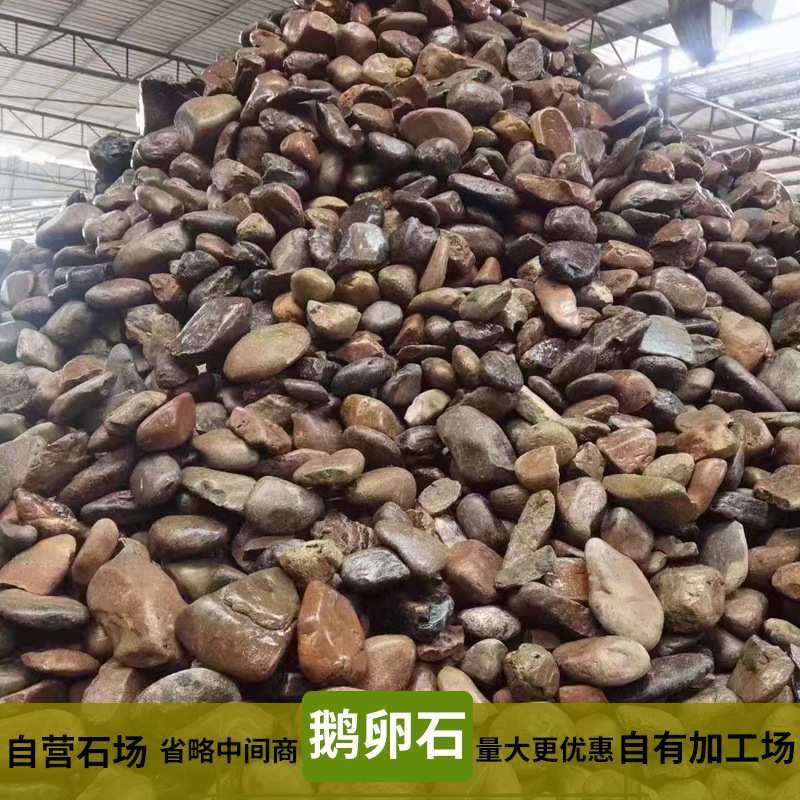 大量鹅卵石 庭院鱼缸花园造景五彩色鹅软石头子雨花石原石天然