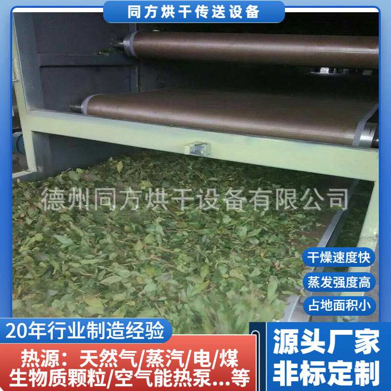 加工三层香叶烘干机 流水线式艾叶干燥机 带式食品香料烘干设备
