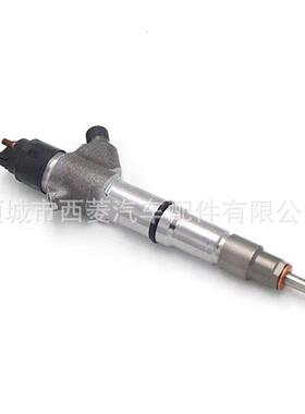 0445120224 柴油共轨喷油器 612600080618 适用于博 潍柴WD10