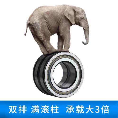 直销圆柱滚子轴承SL04220PP SL014952 SL024952 NNCL4960 SL11940