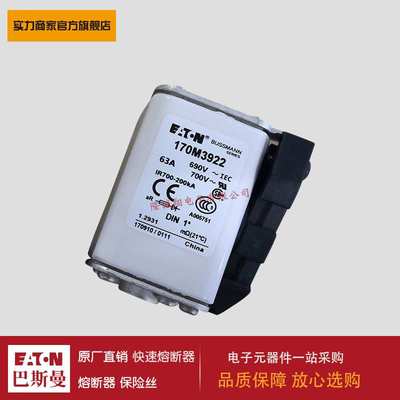 熔断器170M8610 170M8611 170M8612 170M8613 170M3921 170M3922