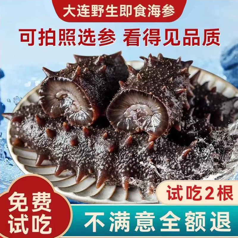 大连海参深海底播即食海参500g鲜食海参礼盒冻品特价包邮,传统滋补营养品,干品/即食海参,淘宝优惠券,粉丝福利购,淘宝优惠卷