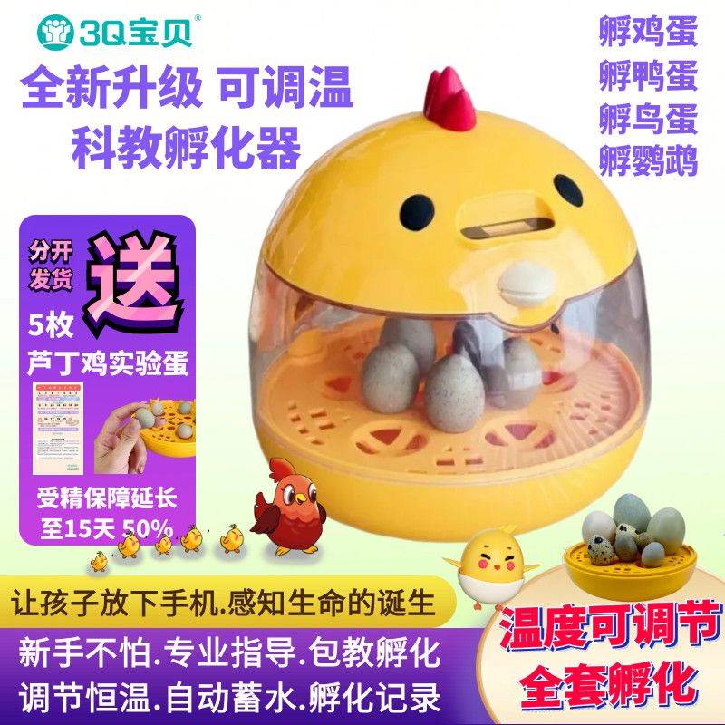 儿童孵化器科教小型学校家用自动调温芦丁小鸡鸭鹦鹉鸟孵蛋器种蛋