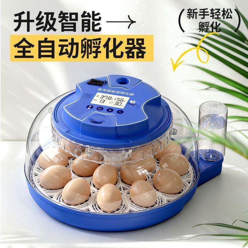 孵化器小型家用全自动小鸡孵化机智能小飞碟鹦鹉芦丁鸡鸟蛋孵蛋器
