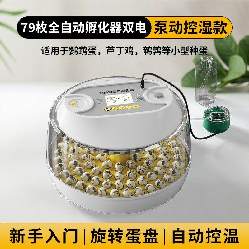 智能迷你全自动温湿双控小型家用水床孵化器入门级芦丁鸡鹌鹑鸽子