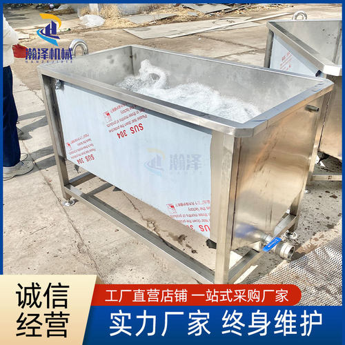 商用气泡洗菜机 水果蔬菜涡流气泡清洗机 肉类鸭货翻浪清洗机