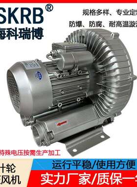 2GH 730-H37 380V 4KW吹吸两用高压鼓风机大风量旋涡气泵厂家