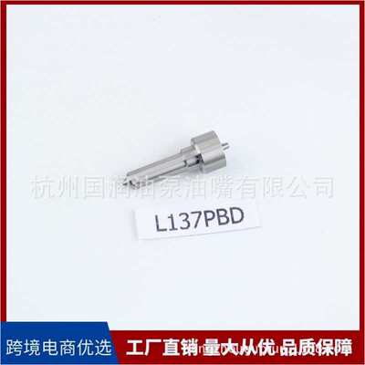 德尔福欧三电控系列喷油嘴 L137PBD 配套EJBR02901D EJBR03701D